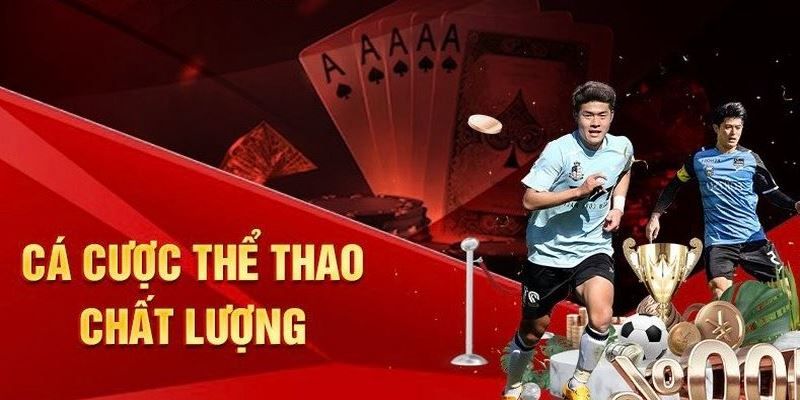 Cá cược thể thao chất lượng 3333Win